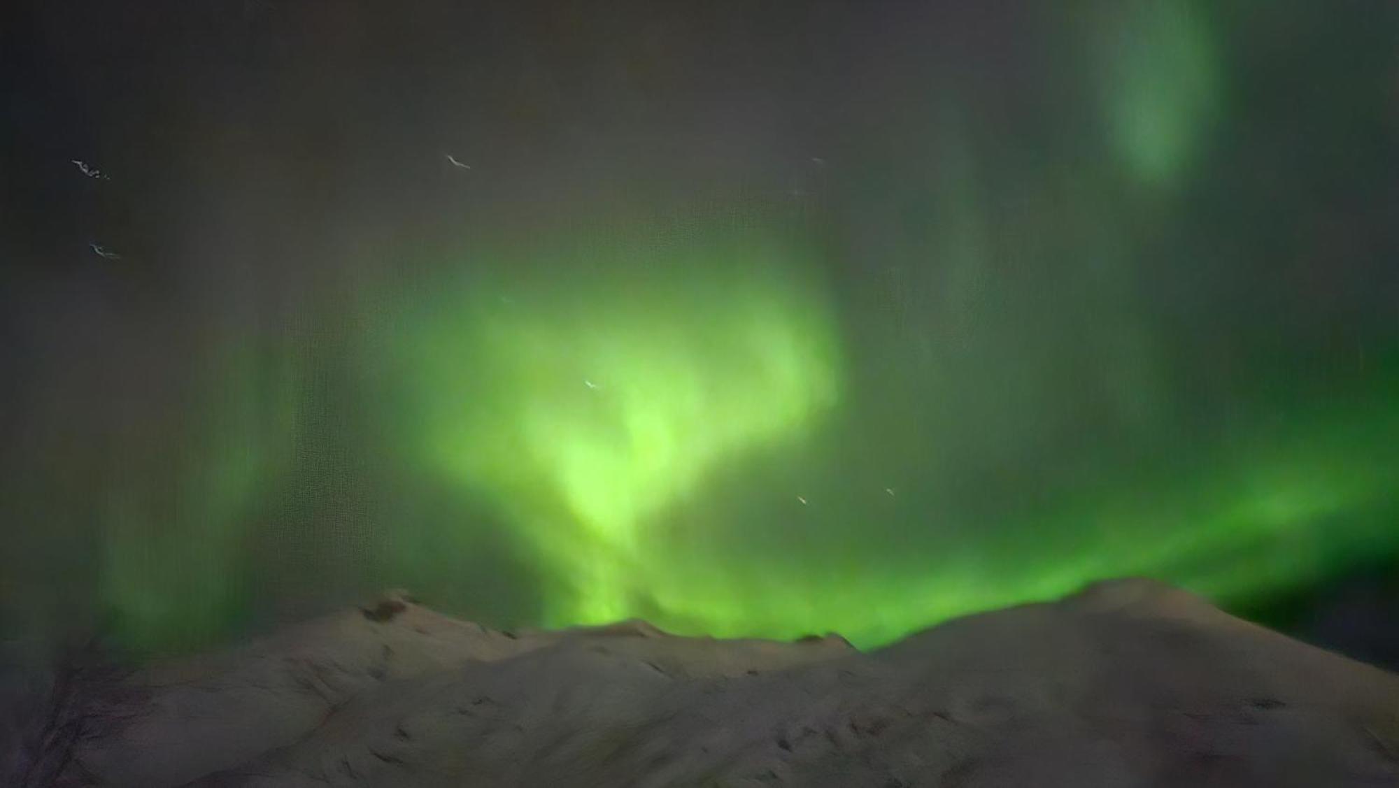 Villa Arctica Tromsø Kültér fotó
