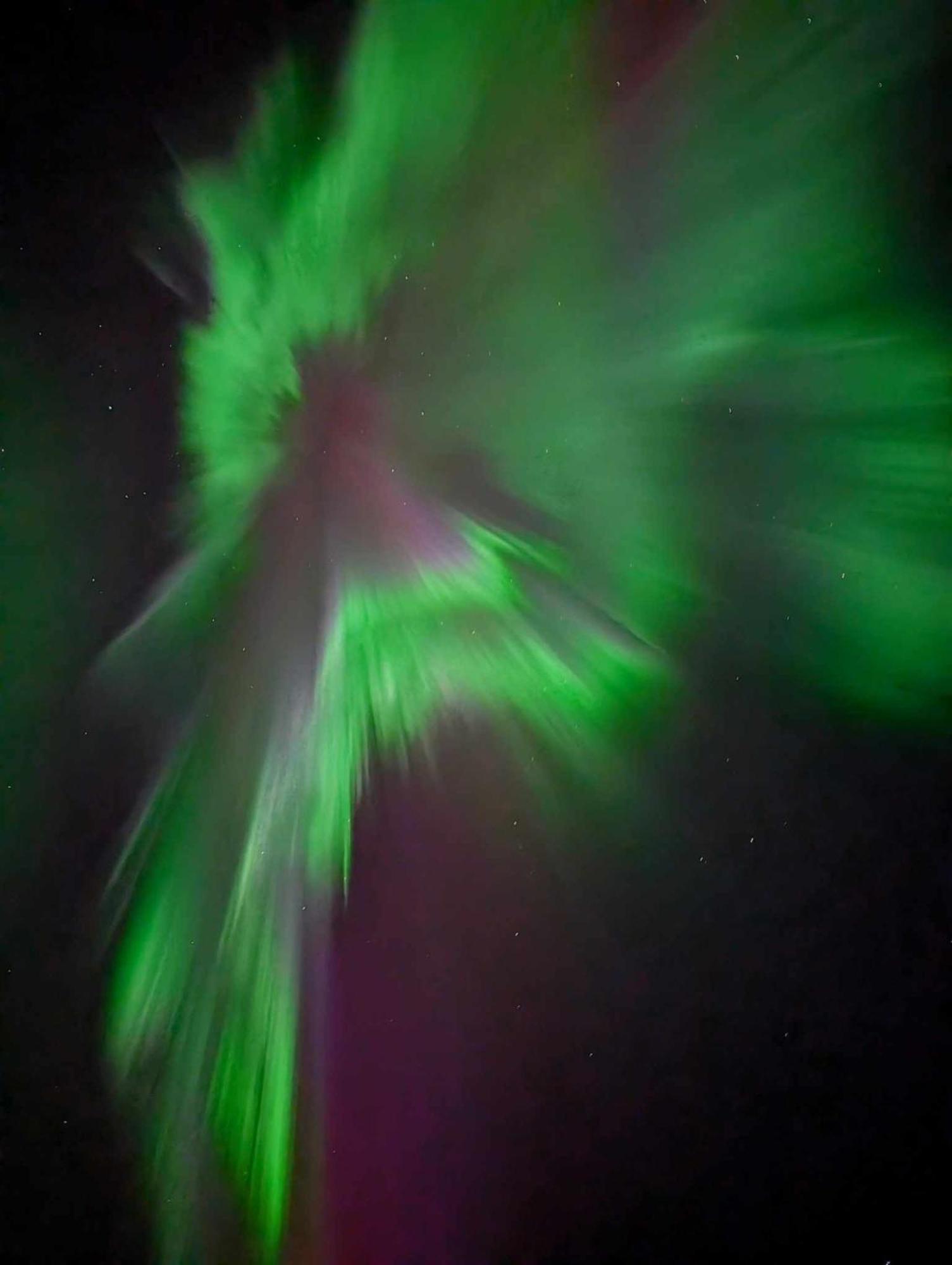 Villa Arctica Tromsø Kültér fotó