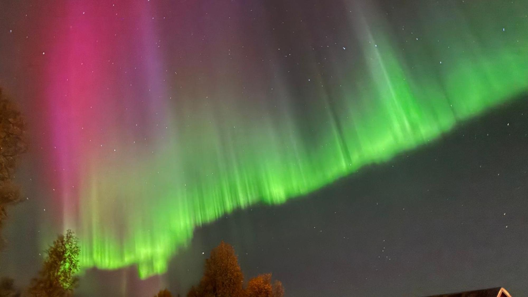 Villa Arctica Tromsø Kültér fotó